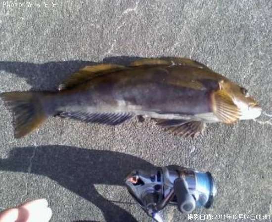 �����ʥ�