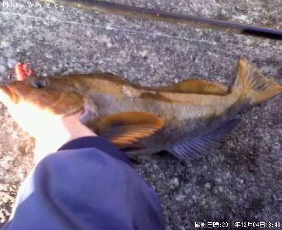 �����ʥ�