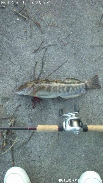 �����ʥ�