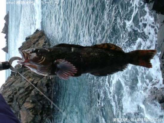 �����ʥ�