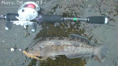 �����ʥ�