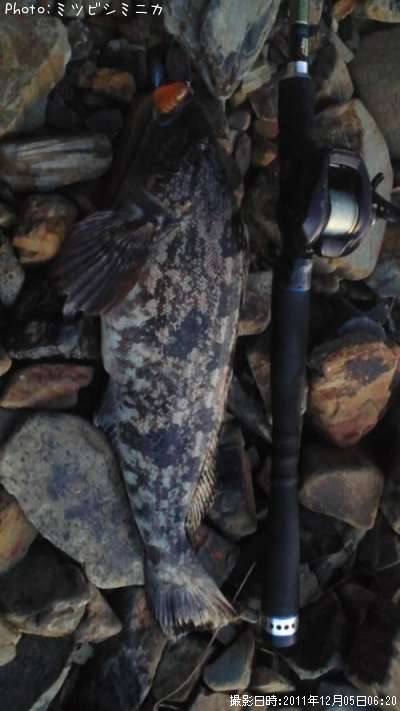 �����ʥ�