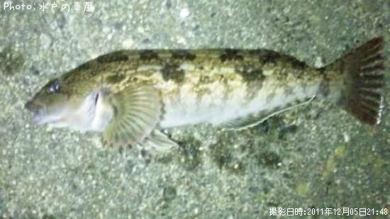 �����ʥᡥ