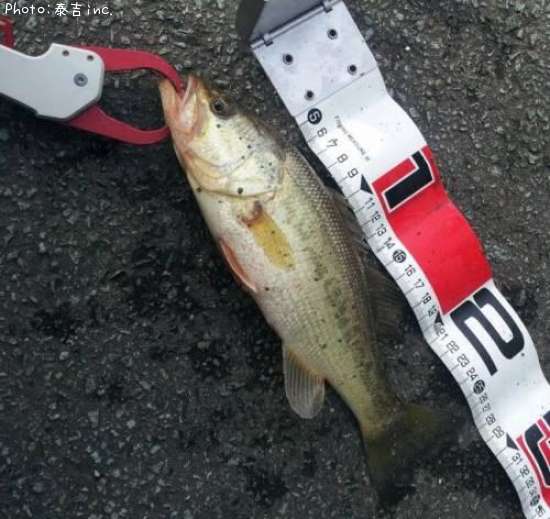 �֥�å��Х�