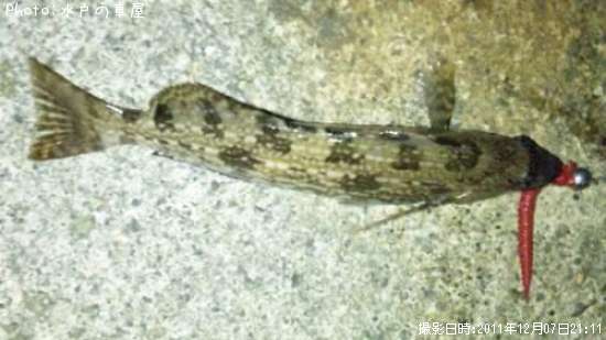 �����ʥᡥ