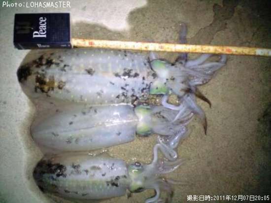 �����ꥤ��