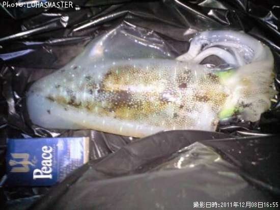 �����ꥤ��