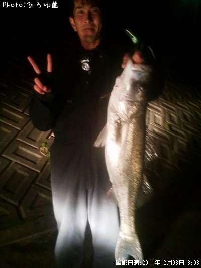 �����Х���