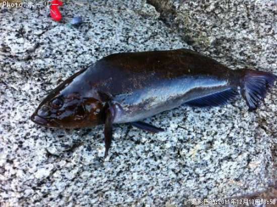 �����ʥ�