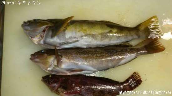 �����ʥ�