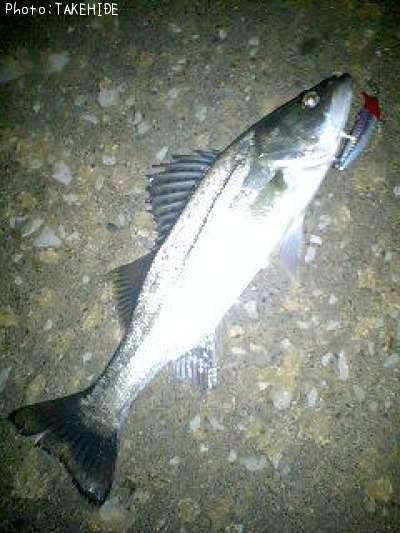 �����Х�