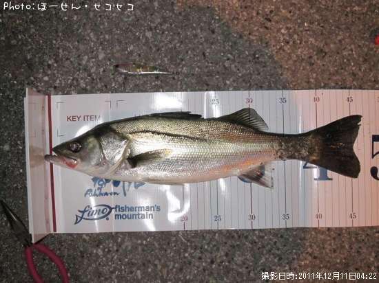 �����Х�