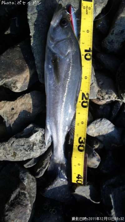 �����Х���