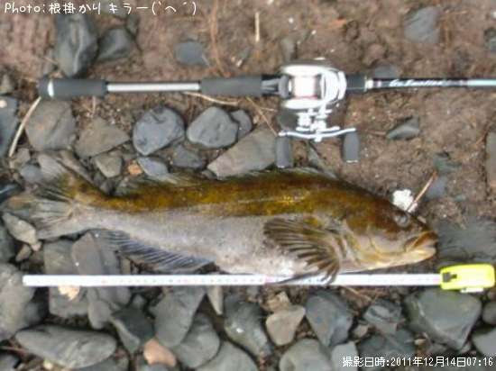 �����ʥ�