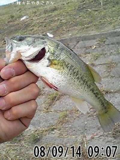 �֥�å��Х�