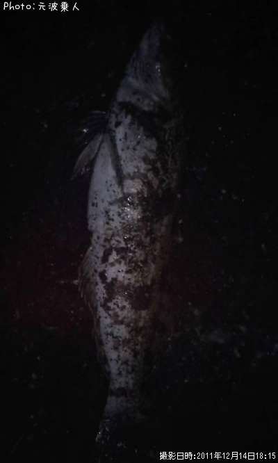 �����ʥ�