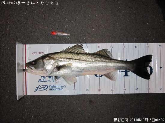 �����Х�