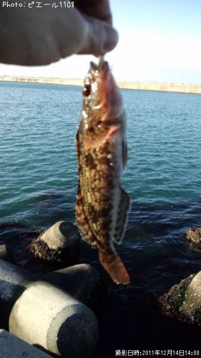 �����ʥ�