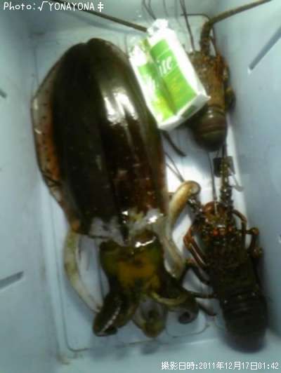 �����ꥤ��