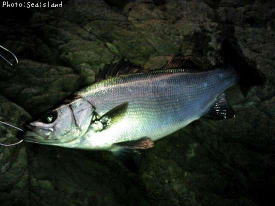 �ҥ饹����