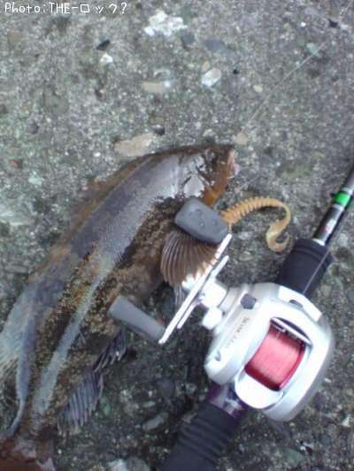 �����ʥ�