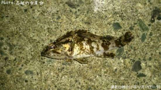 �����Υ���Х�