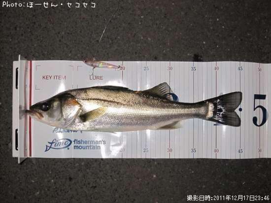 �����Х�