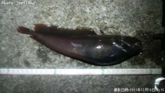 �������������ʥ�