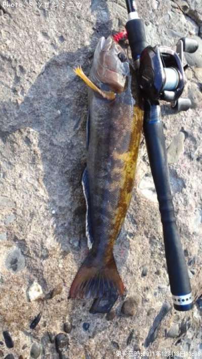 �����ʥ�