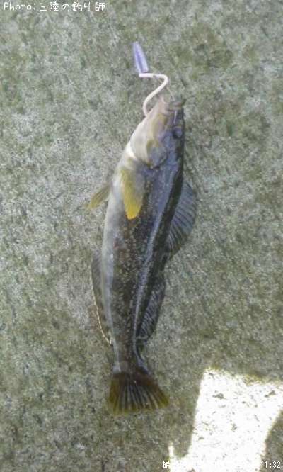 �����ʥ�