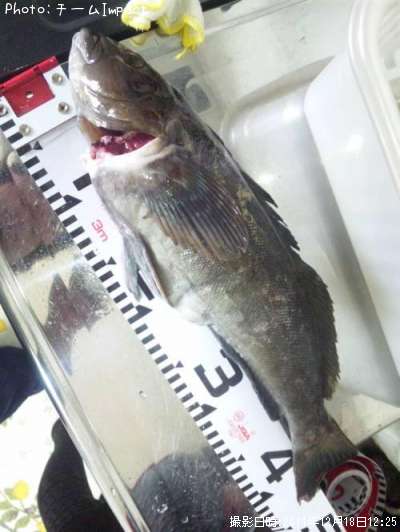 �����ʥ�