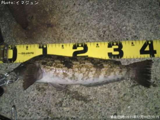 �����ʥ�