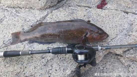 �����ʥ�