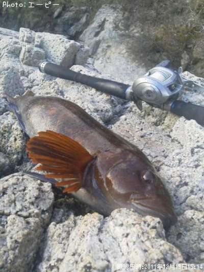 �����ʥ�