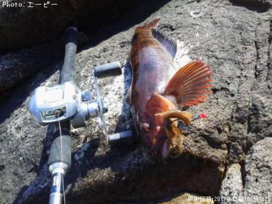 �����ʥ�