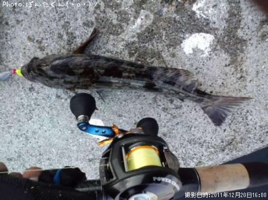 �����ʥ�