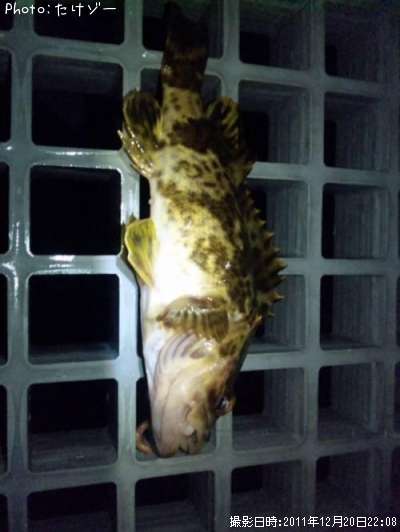 �����Υ���Х�