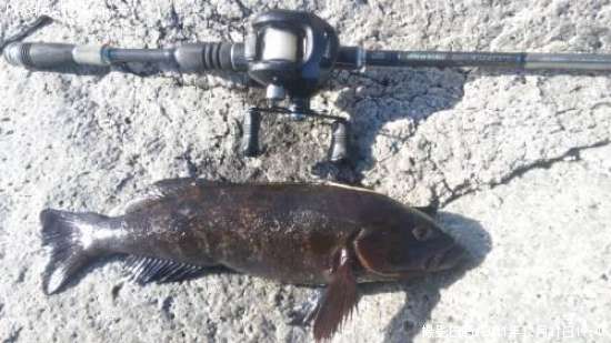 �����ʥ�