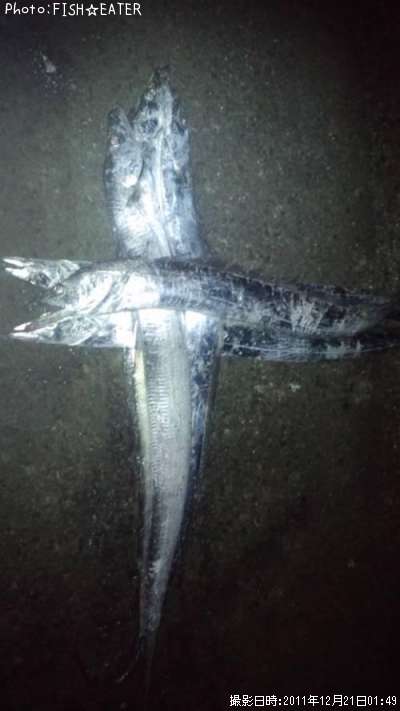 �᤯��ʤ��ʤ������