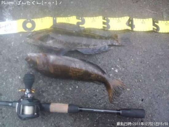 �����ʥ�