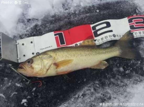 �֥�å��Х�