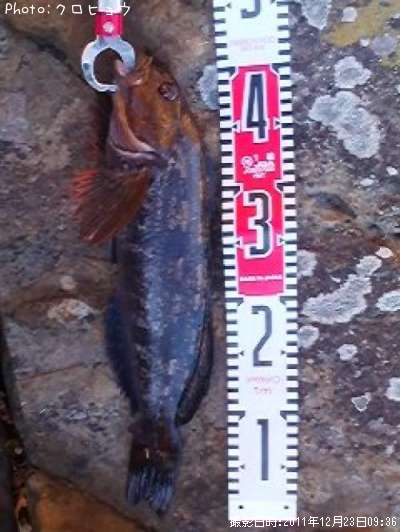 �����ʥ�