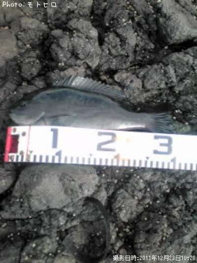 �����֤�