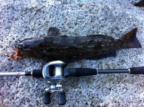 �����ʥ�