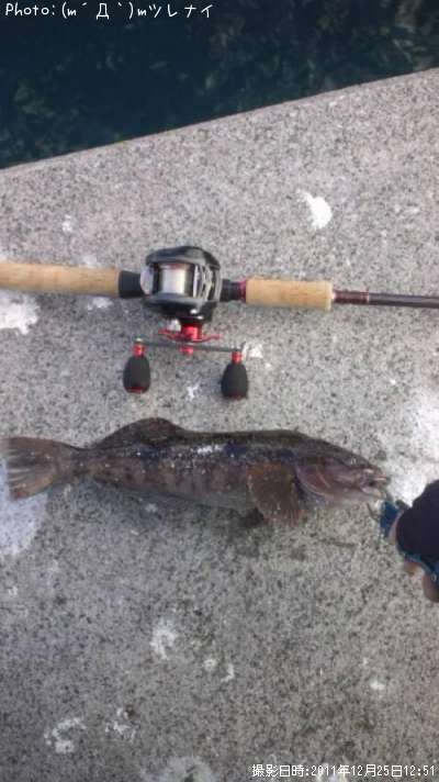 �����ʥ�