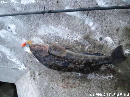 �����ʥ�