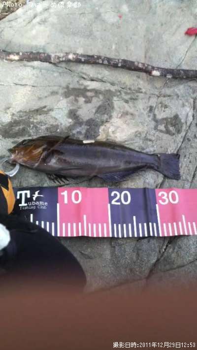 �����ʥ�