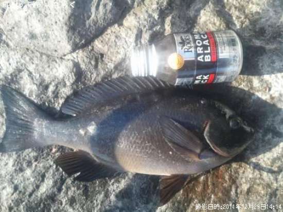 �����᥸��