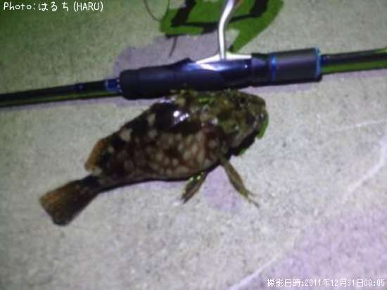 �����Υ���Х�