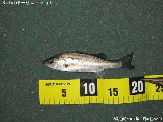 �����Х�